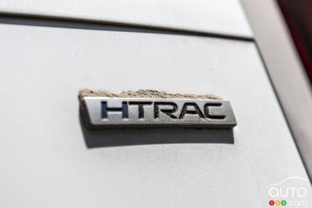 The Hyundai Palisade's HTRAC logo... crowned in sand